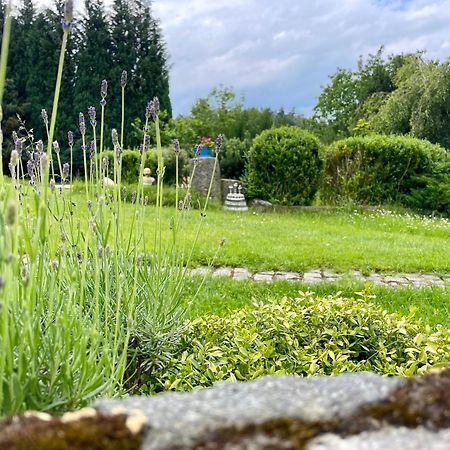 Apartman U Mluvicich Kamenu Staré Křečany Kültér fotó
